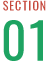 section 01