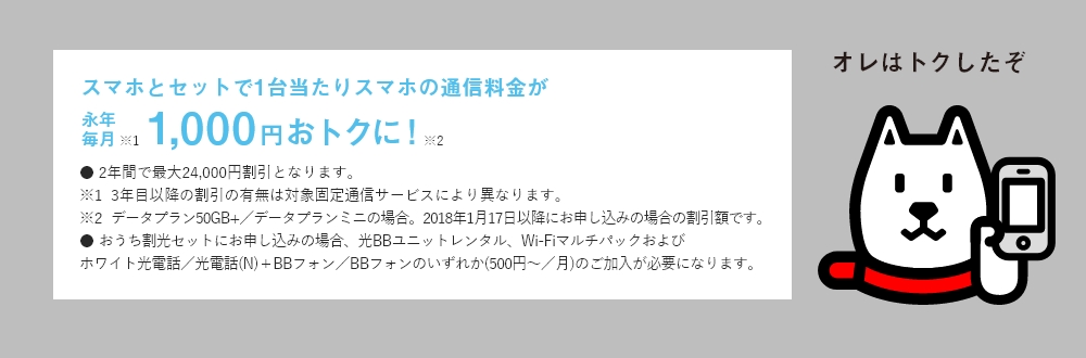 スマホとセットで1台当たりスマホの通信料金が永年毎月1,000円おトクに!